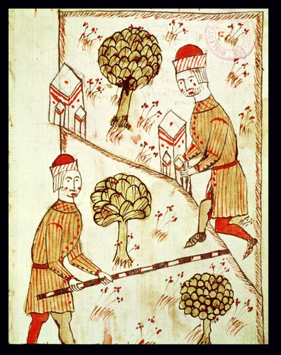 Ms 327 fol. 28r Maanmittaus ja maan rajaus, Arnaud de Villeneuven (1240-1312) Traite d